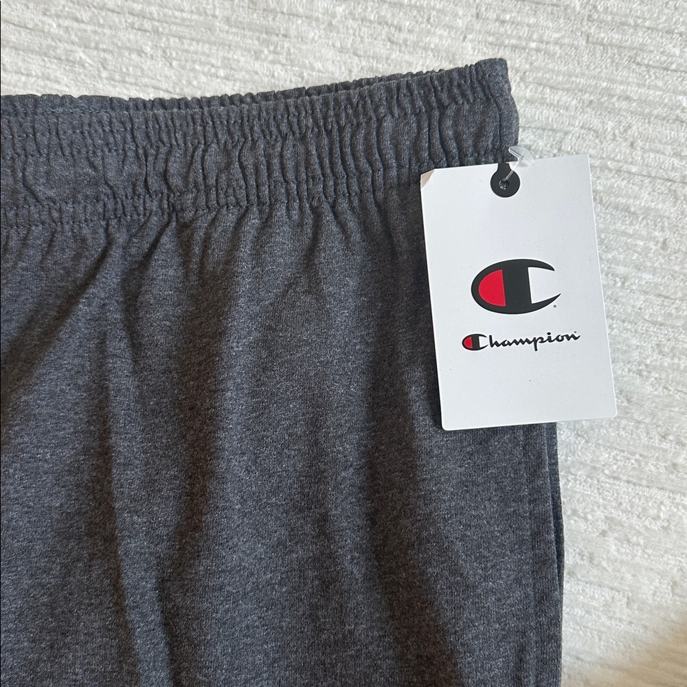 Men’s Champion Granite Heat Everyday Cotton Jogger NWT - Picture 2 of 5